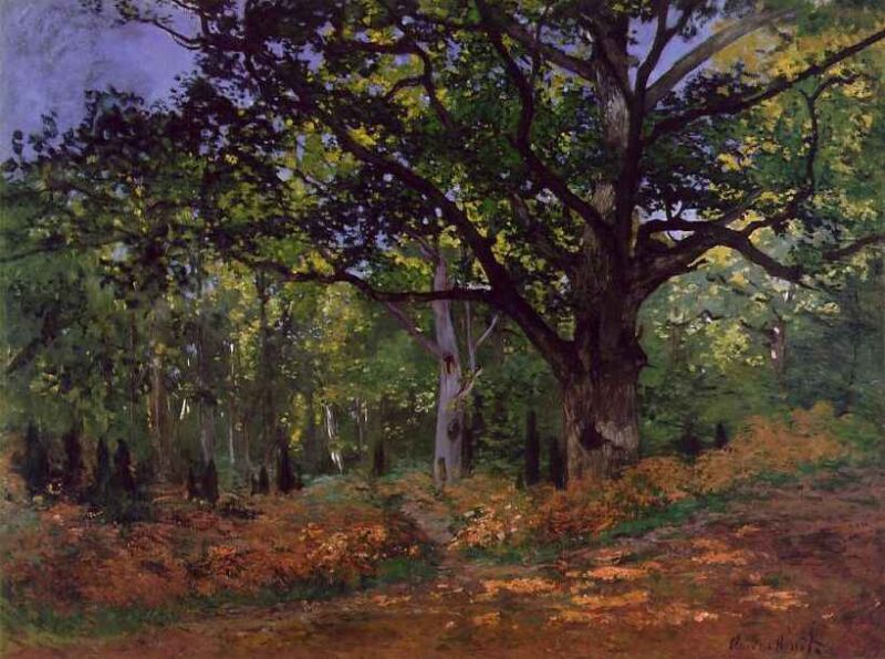 the bodmer oak fontainebleau forest [1865].jpg